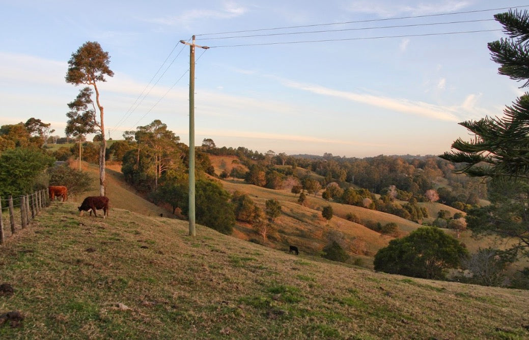 winter on four cow farm | four cow farm skincare