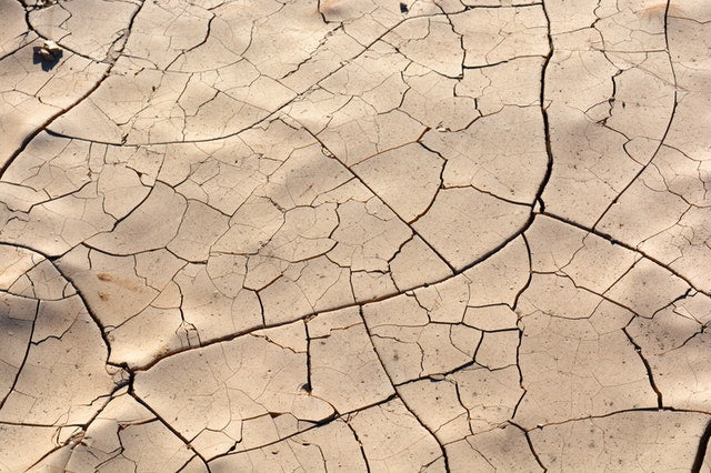 Avoid these 4 ingredients in a facial wash