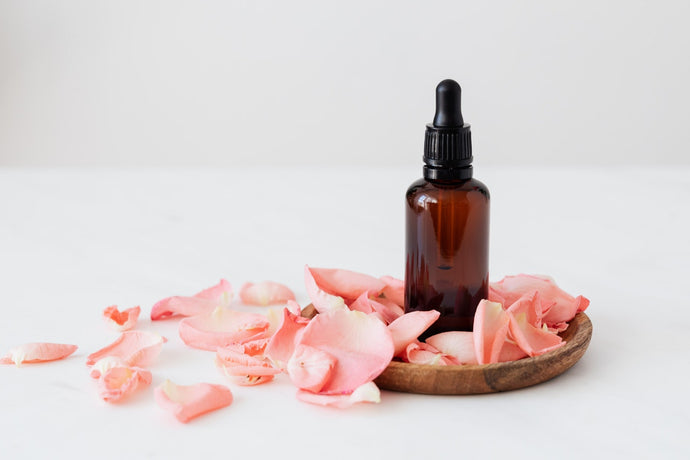Camellia oil - the wonder oil you need in your regimen