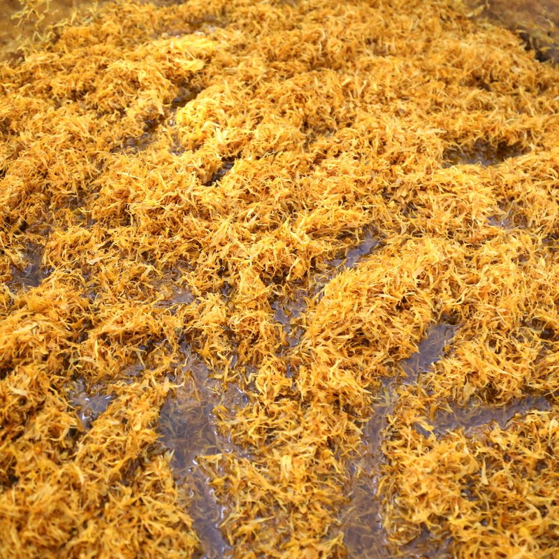 Calendula Petals Infused In Extra Virgin Olive Oil
