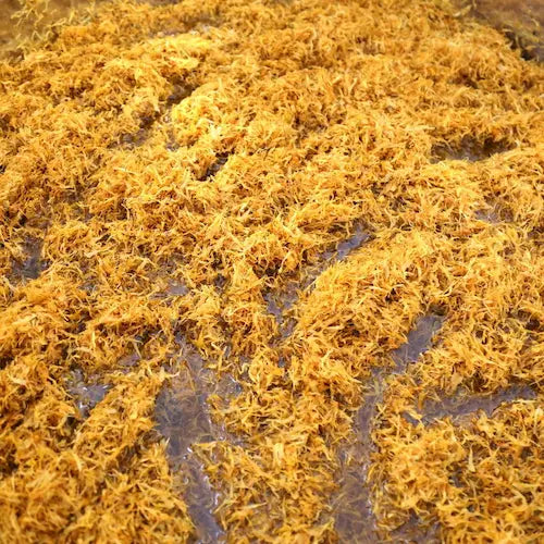 Calendula Petals Infused in Olive Oil