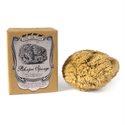 Pohnpei Sponge, Hand-Grown and Sustainably Farmed-Sponge-Handcrafted Skincare-100% Natural and Organic Foodgrade Ingredients-Four Cow Farm Australia