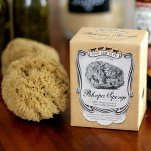 Pohnpei Sponge, Hand-Grown and Sustainably Farmed-Sponge-Handcrafted Skincare-100% Natural and Organic Foodgrade Ingredients-Four Cow Farm Australia